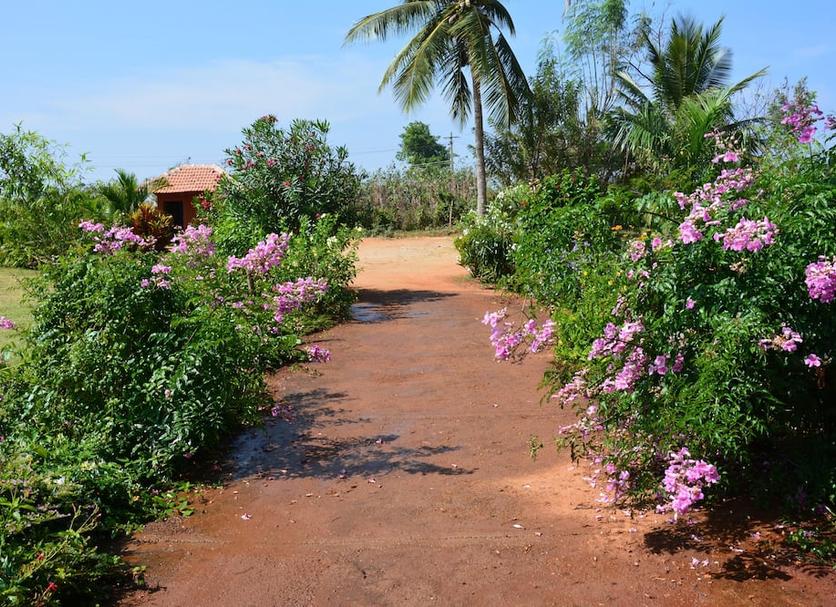 Outdoors view Photo