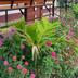 Outdoors view