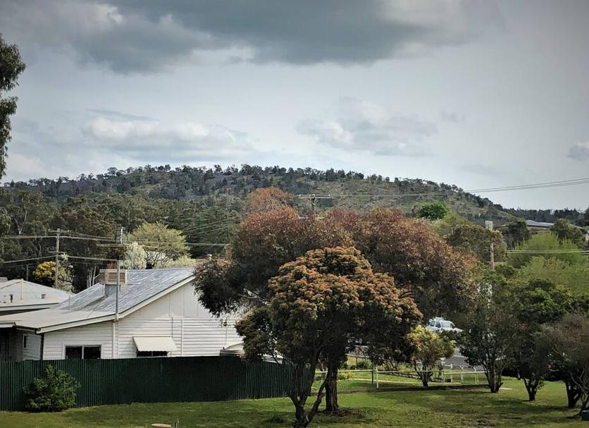 Outdoors view Photo