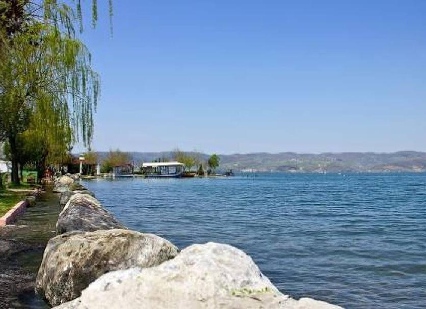 Other Photo