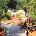 Zorbas Beach Village Hotel in Stavros, shaded garden path with bench and steps to the entrance