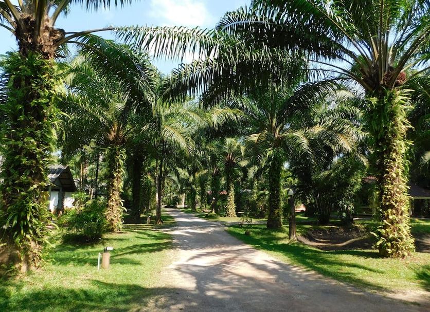 Outdoors view Photo