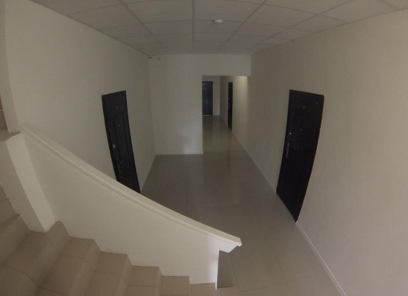 Stairs Photo