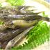Pension Wave Inn, Itō: fresh fish arranged on a woven tray with green fern leaves