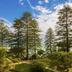 Outdoors view