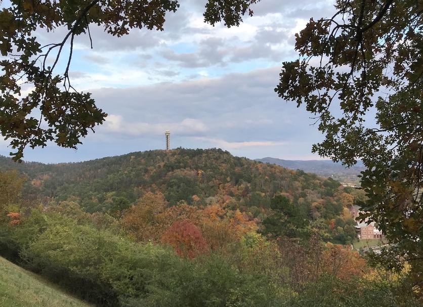 Outdoors view Photo