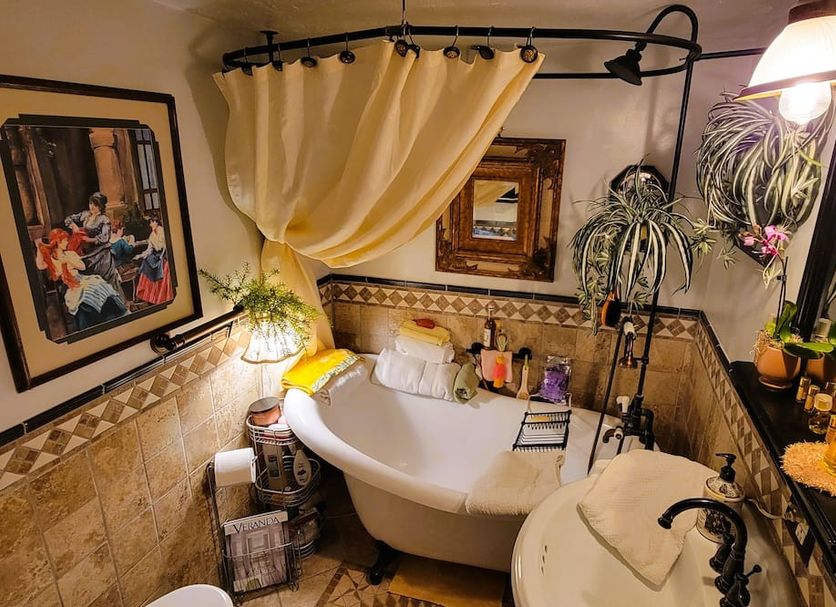 Billie's Backpackers Hostel in Fairbanks bathroom with clawfoot tub, shower curtain, plants, and vanity