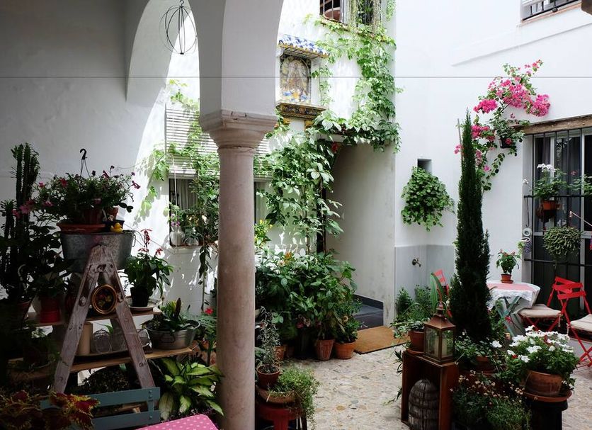 Casa de Huéspedes Santa María - Adults Only courtyard with potted plants and white arches in El Puerto de Santa María
