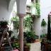 Casa de Huéspedes Santa María - Adults Only courtyard with potted plants and white arches in El Puerto de Santa María