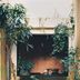 Shila Athens courtyard nook with lush potted plants and hanging greenery in Athens
