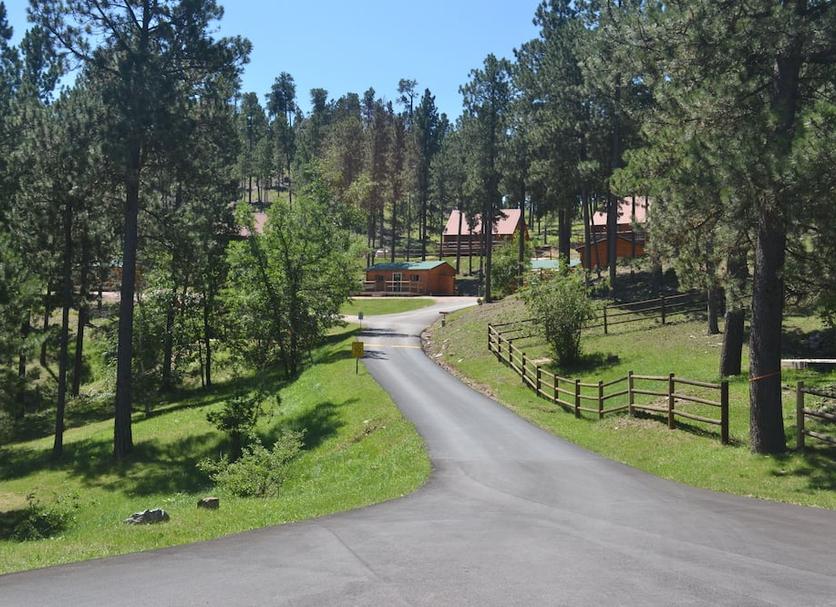 Outdoors view Photo