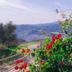 Outdoors view