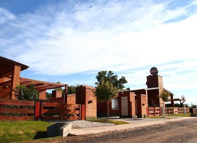 Other Photo