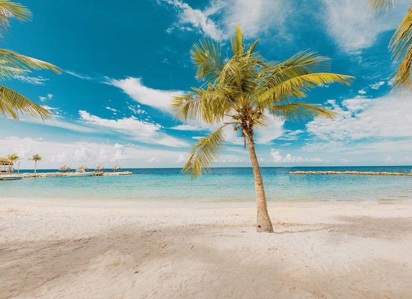Beach Photo