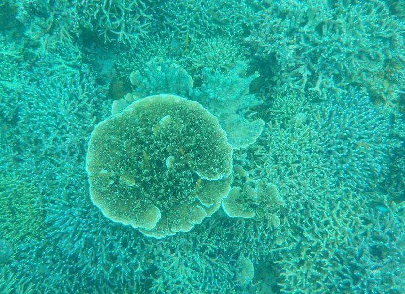 Other Photo