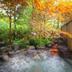 Outdoors view