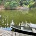 Lakeside Motel in Wisconsin Dells with docked boats on a calm lakeside