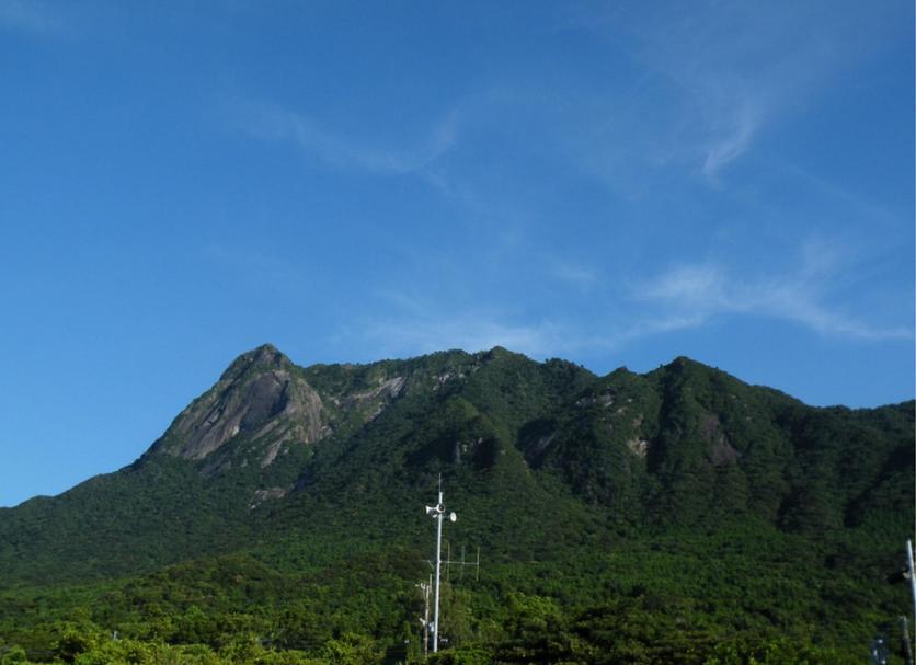 Other Photo
