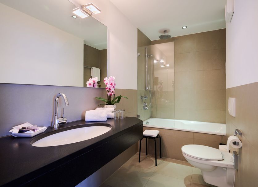 Lechnerhof Unterfoehring bathroom with vanity, sink, mirror, toilet and glass-enclosed bathtub-shower