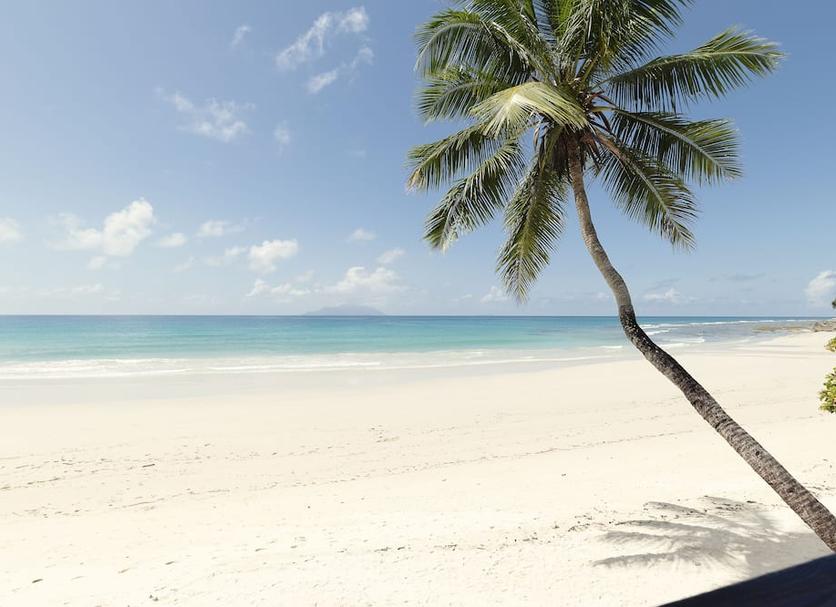 Beach Photo
