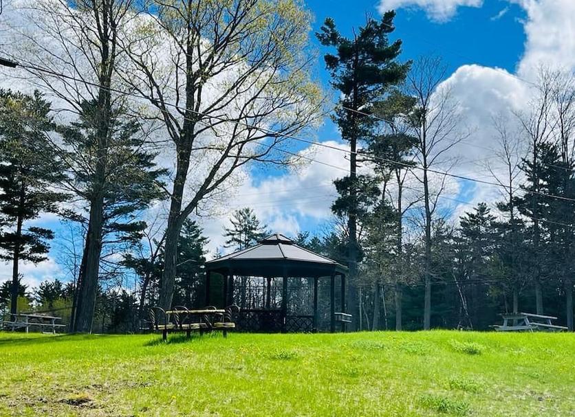 Outdoors view Photo