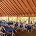 Hotel Marbella Playa Larga in Ixtapa dining area with tables, chairs, and wooden thatched ceiling