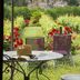 Hôtel-Spa Le Saint Cirq in Bouzies terrace garden with cliffside village view