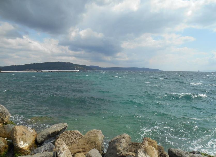 Other Photo