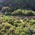 Camping Il Boschetto Di Piemma in San Gimignano, aerial view of cabins in a wooded hillside