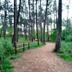 Outdoors view