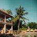 Casa Marisa in Puerto Escondido with palm trees, hammocks, and a poolside terrace