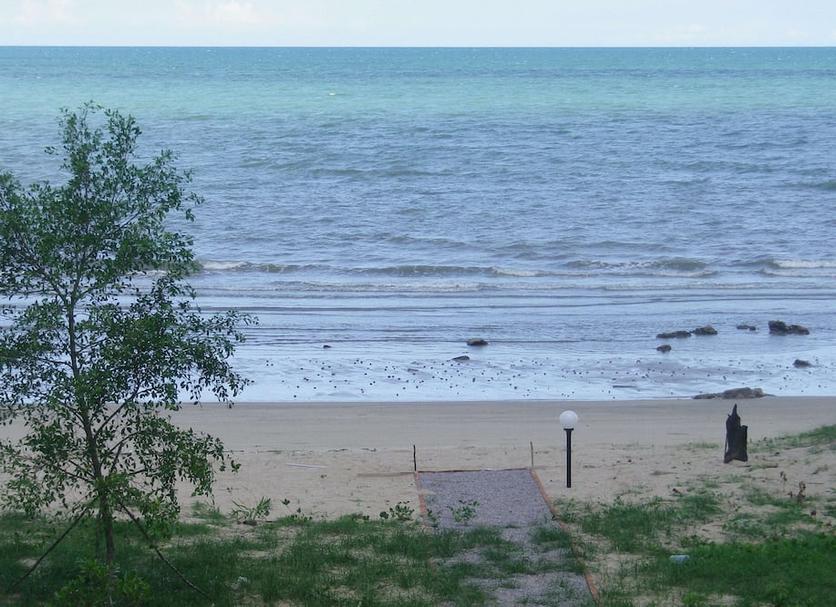 Beach Photo