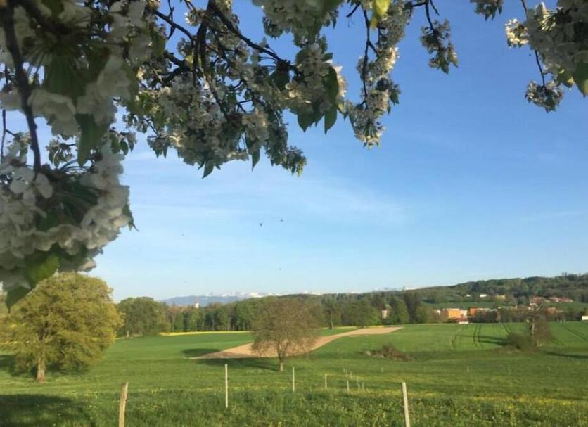 Outdoors view Photo