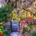 Lush garden entrance at Retreat At Crystal Manatee in Crystal River with wrought-iron gate and hanging moss