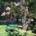 Dunsmuir Lodge in Dunsmuir: picnic table on a grassy garden with flowering trees and rocks