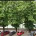Outdoors view