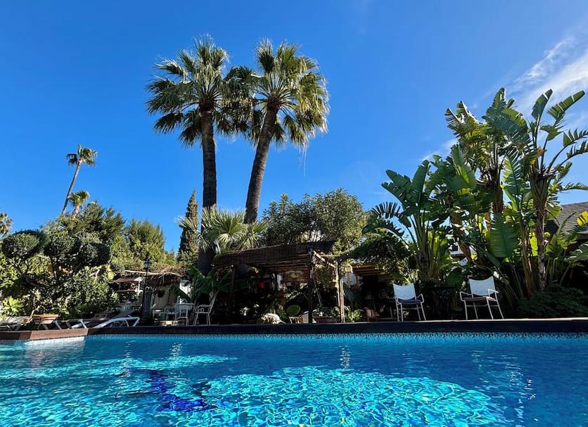 Pool Photo
