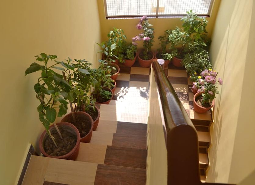 Stairs Photo