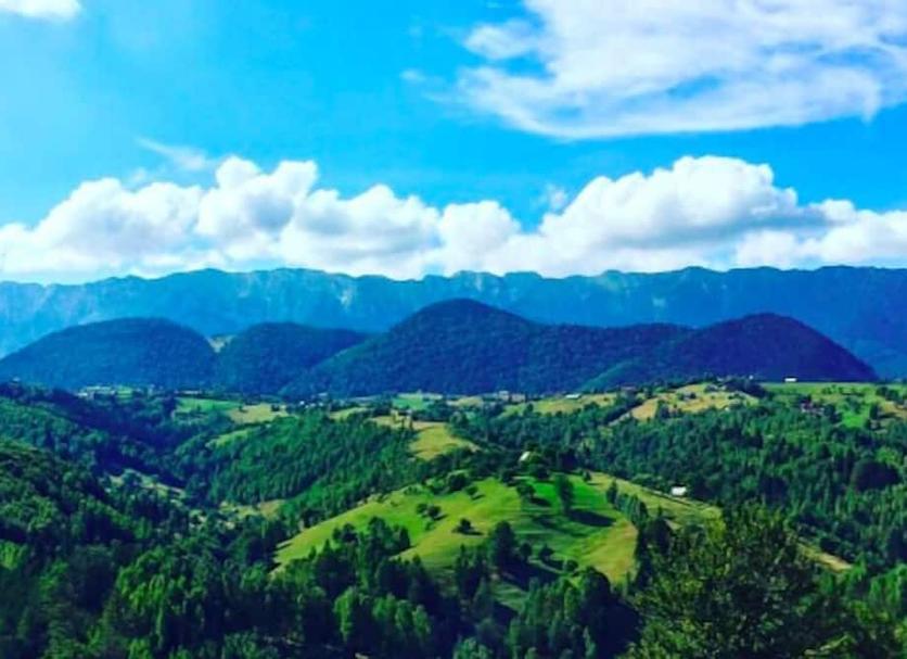 Outdoors view Photo