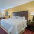 Hampton Inn by Hilton Hopewell Fort Lee guest room with king bed, TV, chair and window with curtains