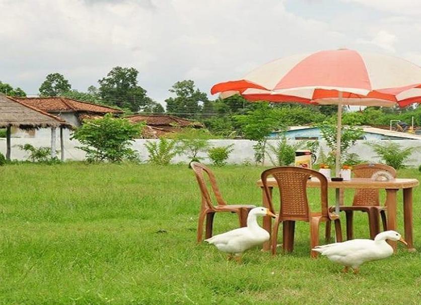 Patio Photo