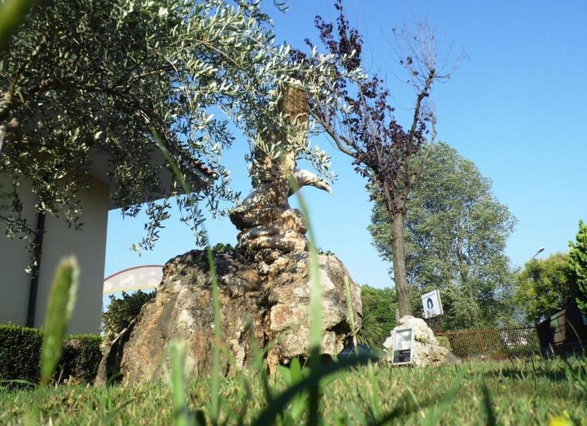 Other Photo