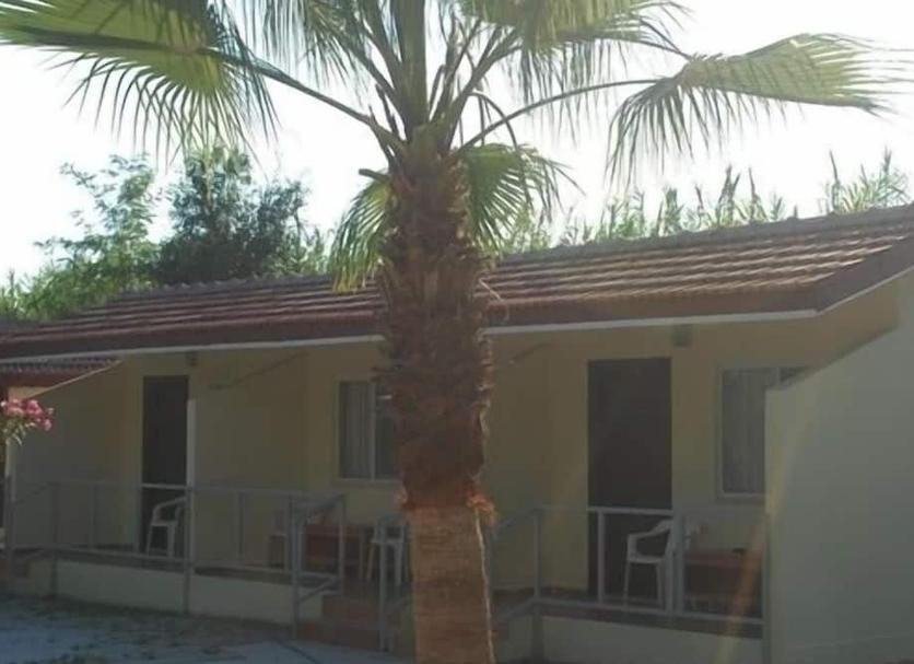 Other Photo