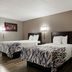 Red Roof Inn Hartford - New Britain room with two double beds and bedside lamps