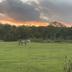 Outdoors view