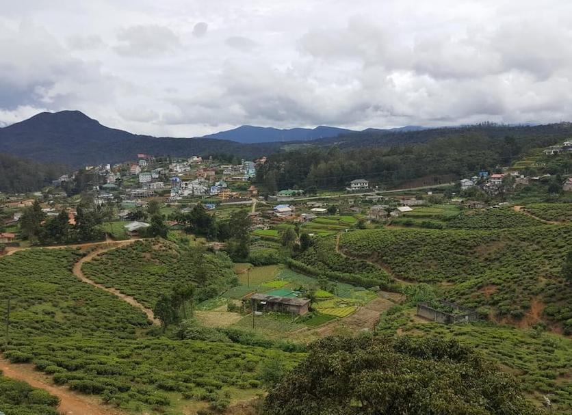 Outdoors view Photo