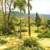 Outdoors view