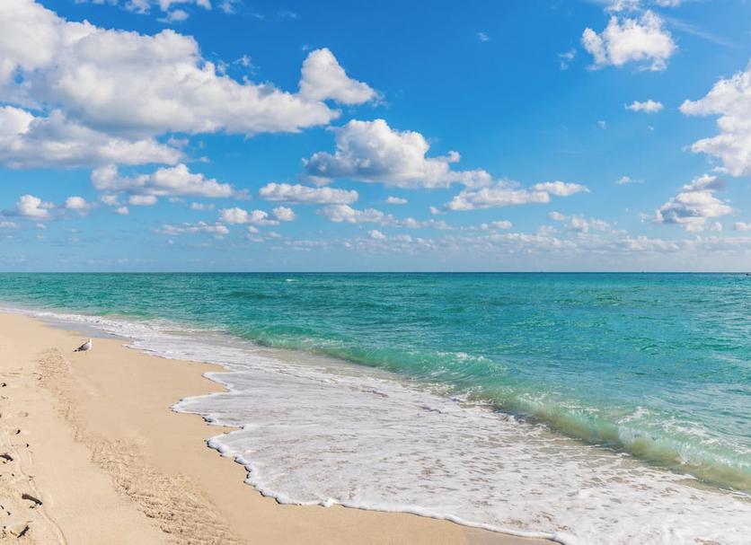 Beach Photo