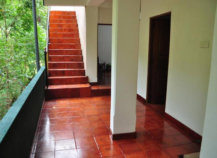 Stairs Photo