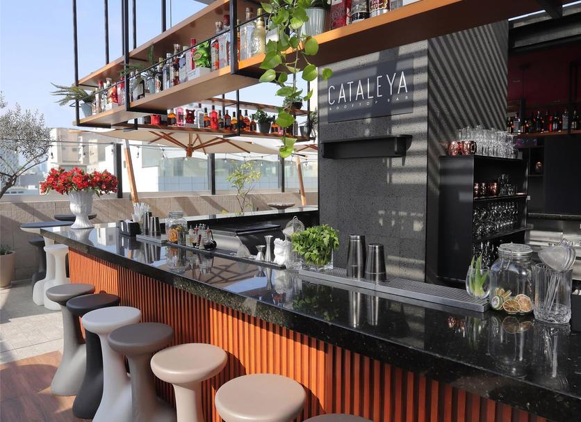 Bar Photo